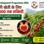 Coffee Development Programme 2026: ₹50,000 सब्सिडी और आवेदन